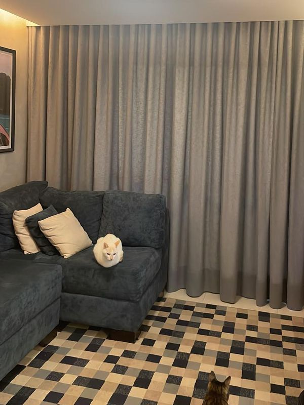 Para Trilho Simples - 310cm x 250cm - Glam Titânio com Microfibra Branca · Tânia Cerqueira